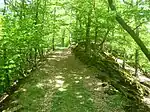 Der zur Hauptburg führende Felsgrat