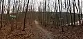 Fußweg zwischen Mittelsee und Obersee