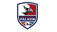 Heilbronner Falken