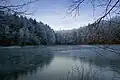 Heinitzer Weiher