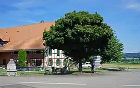 Kreuzung in Heinrichswil