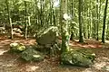 Findlinge bei Baum Nr. 79
