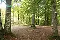 Am Endpunkt der Allee gruppieren sich die letzten Gedenkbäume um den Aussichtsturm