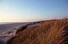 Strand und Dünen bei Henne Strand