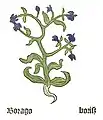 Teil I, Kapitel 23 ... Borago officinalis