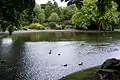 Teich im Herbert Park