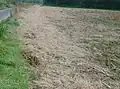 Acker nach Herbizidanwendung