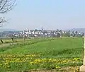 Blick auf Herbstein vom Radweg