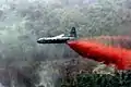 Löschflugzeug im Tiefflug
