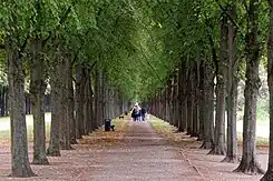 Herrenhäuser Allee