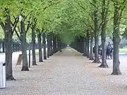 Eine der beiden geschlossenen Alleen, rechts davon eine mietbare Droschke