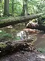 Naturbrücke über den Hegbach (2020)