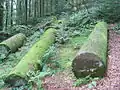Am Bullauer Berg bei Miltenberg aus Kristallsandstein gehauene Heunesäulen (= Hünensäulen)