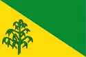 Flagge des Ortes Hiaure