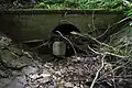 Tunnel unter der B&nbsp;64 bei der Uhlenmühle. Ca. 50&nbsp;m lang bei nur etwa 1,5&nbsp;m Durchmesser. Im Winter staut es sich hier. Bei Hochwasser hat der Bach die Möglichkeit den Straßentunnel Am Bischofswasser mitzunutzen, der links daneben verläuft. Blick stromabwärts. (23. Juli 2011)