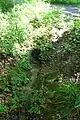 Der nördliche Quellarm untertunnelt hier den Wanderweg Sachsenring. Im Wald ist der Bach noch sehr steil. Blick stromaufwärts. (27. Juli 2011)