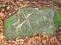 Durch Verwitterung herauspräparierte Quarz-Spaltenfüllung im Granit am westlichen Im Loh- Hang (Daumbergvulkan-Umfeld)