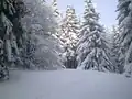 Auf dem Hauptgipfel