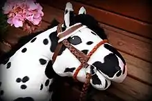 Hobby Horse