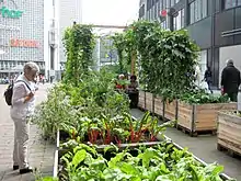 Hochbeet-Projekt auf dem Hanseatenhof in der Bremer Innenstadt, 2017