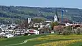 Hochdorf von Osten