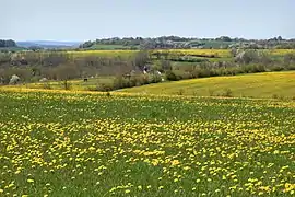 Blick über Renda auf den südwestlichen Bereich.