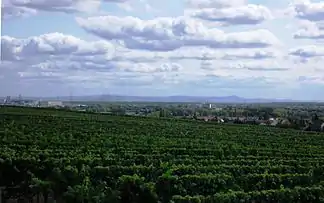 Blick von Hochheim am Main nach Südosten über die Oberrheinische Tiefebene bis zum Odenwald. Die markanteste Erhebung der Odenwald-Silhouette ist im rechten Bilddrittel der Melibokus an der Bergstraße in 38 km Entfernung. Rechts vom Melibokus setzt sich die Bergstraße nach Süden weiter fort.