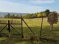Hochzeitswald am Hammberg mit Blick auf Tauberbischofsheim