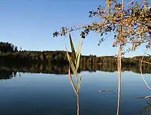 Höllerer See (Gemeinde St.&nbsp;Pantaleon)