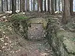 Mundloch des Hoffmannstollen II