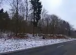 Halde Hoffmannstollen I