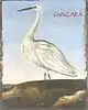 Guacara