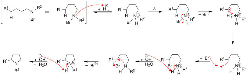 Mechanismus der Hofmann-Löffler-Freytag-Reaktion