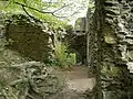 Die Reste des Zwingers von oben.