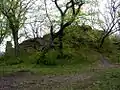 Zugewilderte Oberburg.