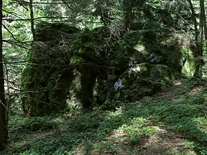 Hanserlstein