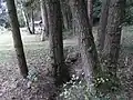 Am Fischteich Kuhtroff