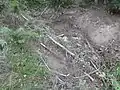 Die Quelle am Gaulskopf