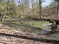 Quellteich