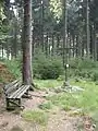 Gipfelkreuz auf der Homert
