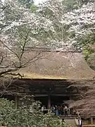 Hondō