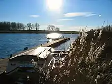 Winterruhe am Hooksmeer