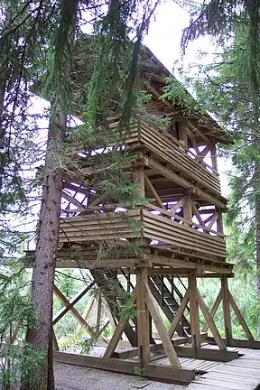 Aussichtsturm am Rand des Moors