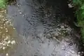 Die Lüder von der Brücke über die Lüder mit Niedrigwasser am Ortseingang von Hainzell