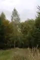 Randbereiche