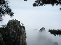 "Monkey gazing at the sea of clouds"