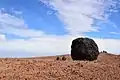 einzelnes Teide-Ei