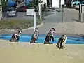 Humboldt-Pinguine