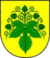 Hummelfeld, Hopfenranke mit gestürzten Blatt und fünf auswärts weisenden Dolden