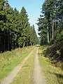 Hundebruch-Hangweg